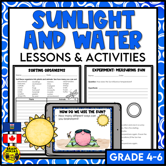 The Importance of Sunlight and Water Lessons and Activities | Paper and Digital