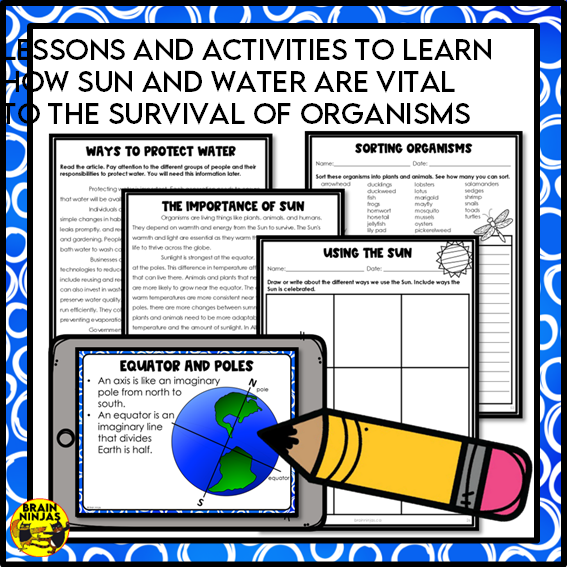 The Importance of Sunlight and Water Lessons and Activities | Paper and Digital