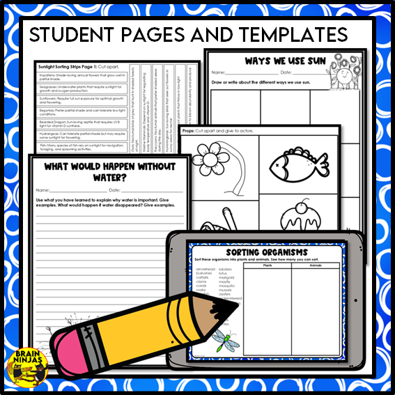 The Importance of Sunlight and Water Lessons and Activities | Paper and Digital