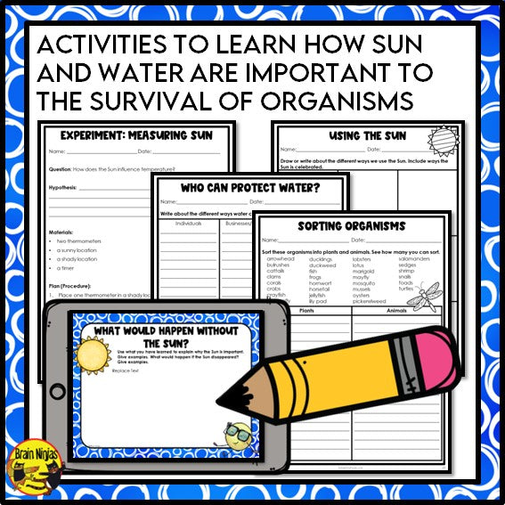 The Importance of Sunlight and Water Lessons and Activities | Paper and Digital