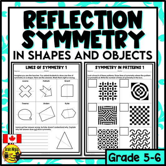 Reflection Symmetry and Lines of Symmetry Math Worksheets | Paper