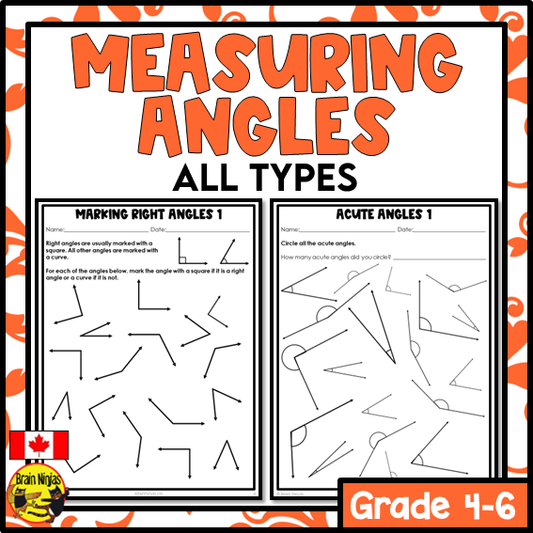 Angles | Classifying and Measuring All Types of Angles Math Worksheets | Paper