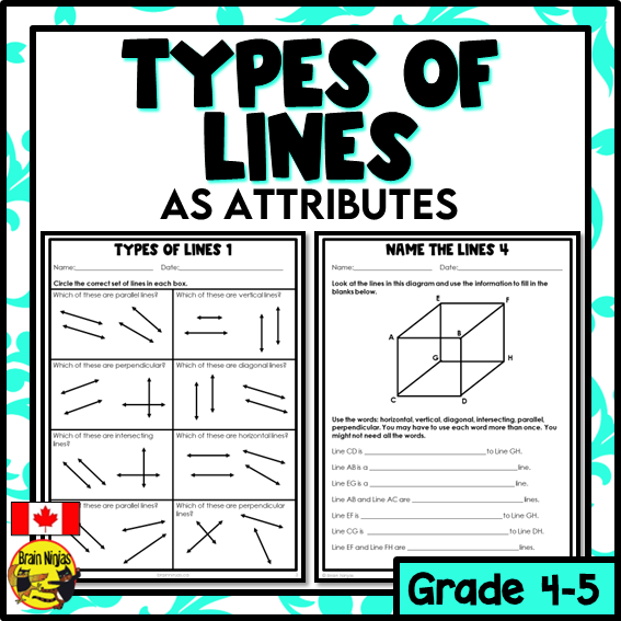 Types of Lines Math Worksheets | Paper – brainninjas