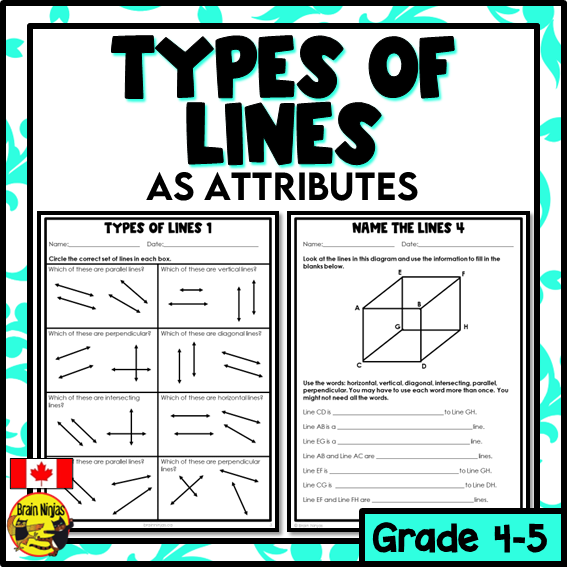 Types of Lines Math Worksheets | Paper