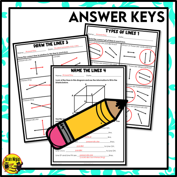 Math With Lines Differentiated worksheets to identify types of lines - Educational ...