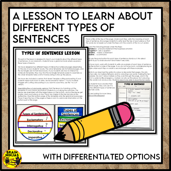 Types of Sentences Identifying and Punctuating With Pirate Theme | Paper and Digital