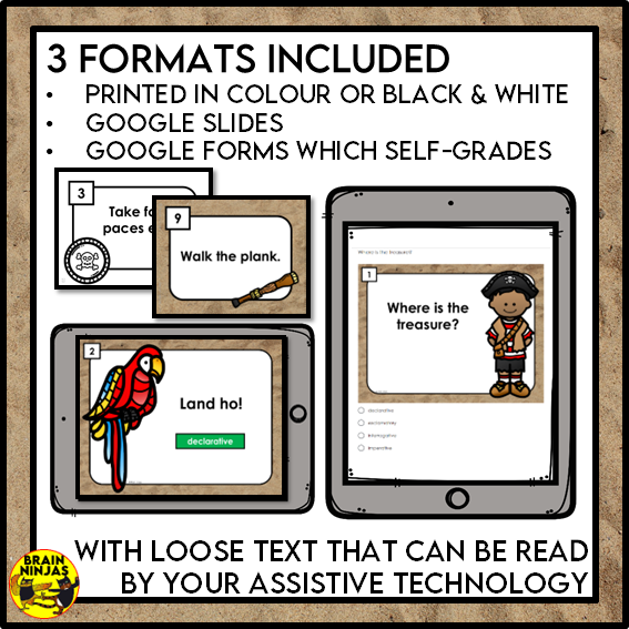 Types of Sentences Identifying and Punctuating With Pirate Theme | Paper and Digital