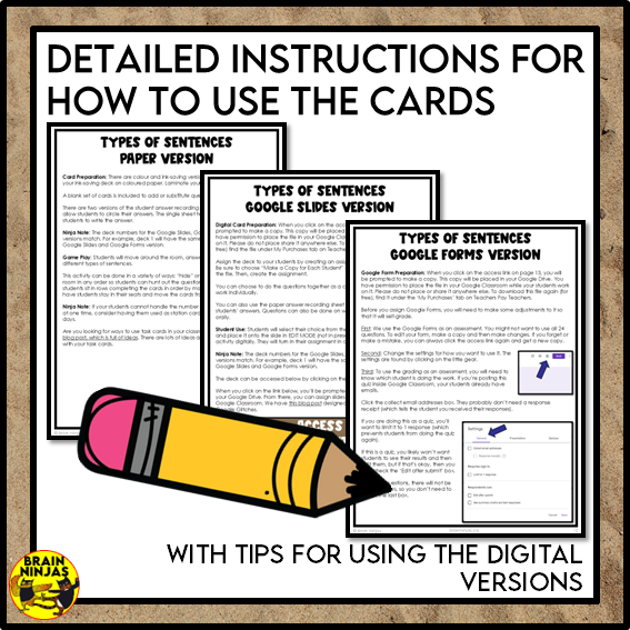 Types of Sentences Identifying and Punctuating With Pirate Theme | Paper and Digital