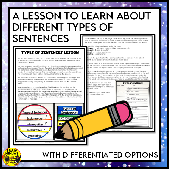 Types of Sentences Identifying and Punctuating With Winter Theme | Paper and Digital