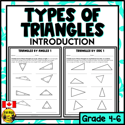 Types of Triangles Introduction Math Worksheets | Paper