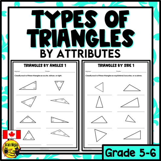 Types of Triangles Classifying By Attributes Math Worksheets | Paper