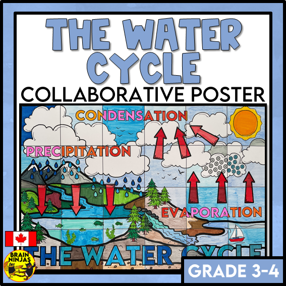 Water Cycle Collaborative Poster Colouring Activity | Paper
