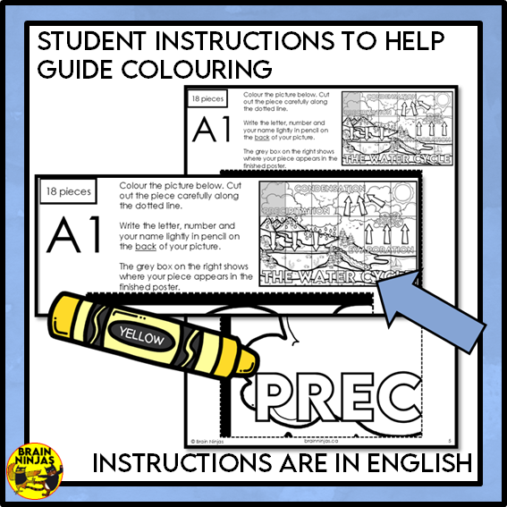 Water Cycle Collaborative Poster Colouring Activity | Paper
