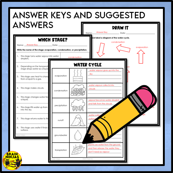 The Water Cycle Lessons and Activities | Paper and Digital