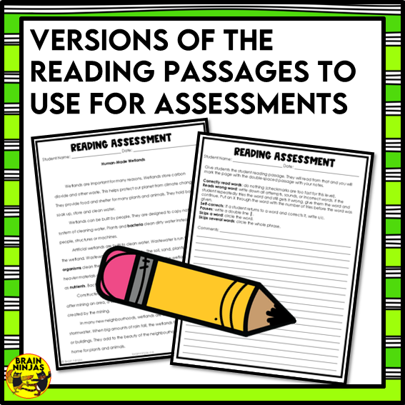 Wetlands Reading Comprehension Activities | Paper and Digital