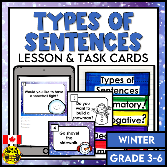 Types of Sentences Identifying and Punctuating With Winter Theme | Paper and Digital