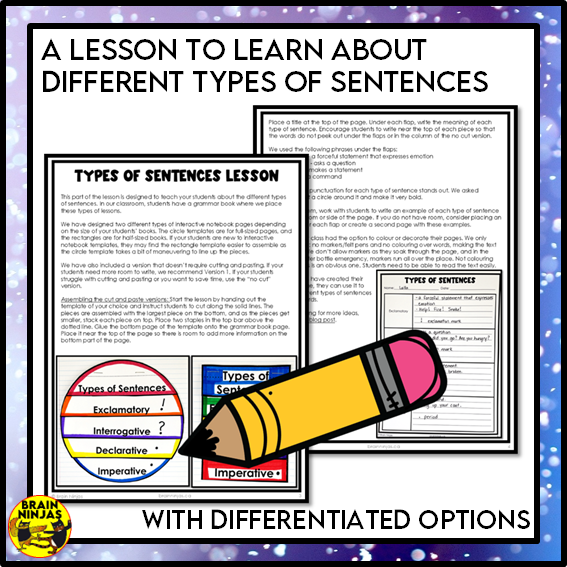 Types of Sentences Identifying and Punctuating With Winter Theme | Paper and Digital