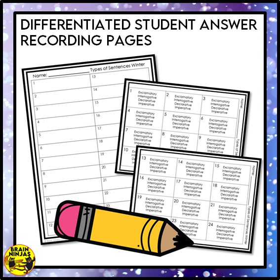 Types of Sentences Identifying and Punctuating With Winter Theme | Paper and Digital