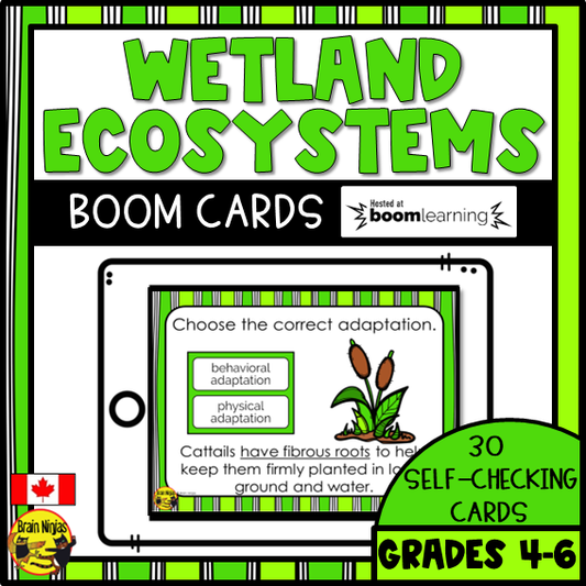 Wetlands Adaptations | Boom Cards | Digital