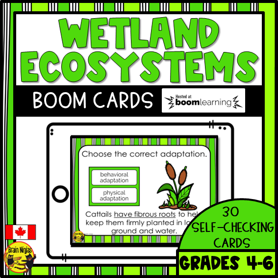 Wetlands Adaptations | Boom Cards | Digital