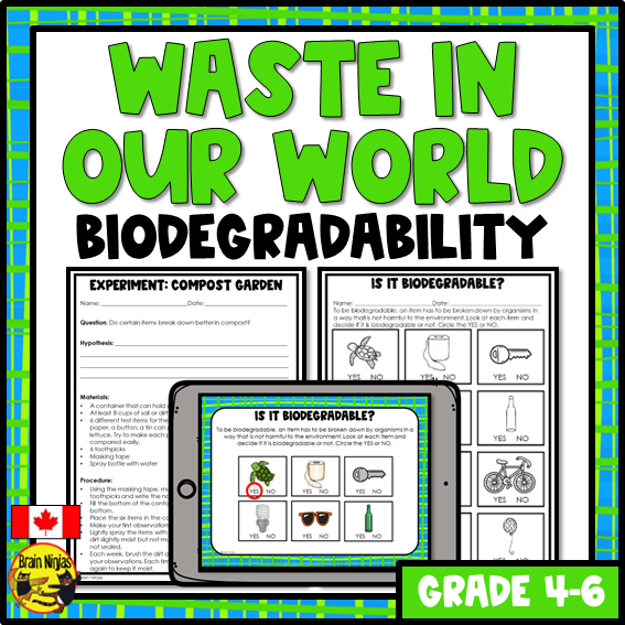 Biodegradability Lessons | Waste In Our World | Paper and Digital