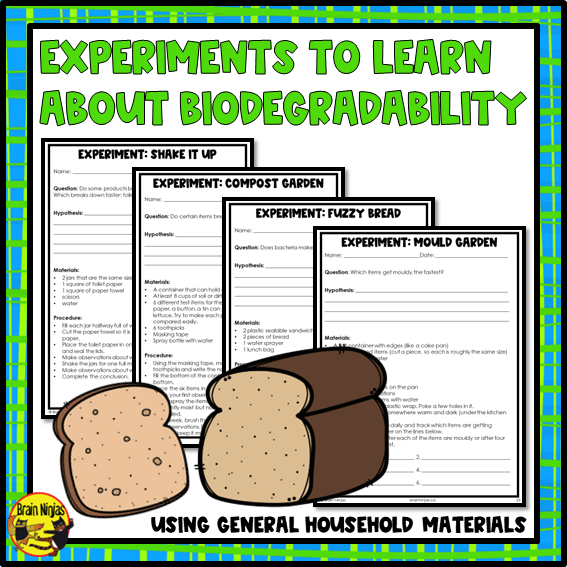 Biodegradability Lessons | Waste In Our World | Paper and Digital