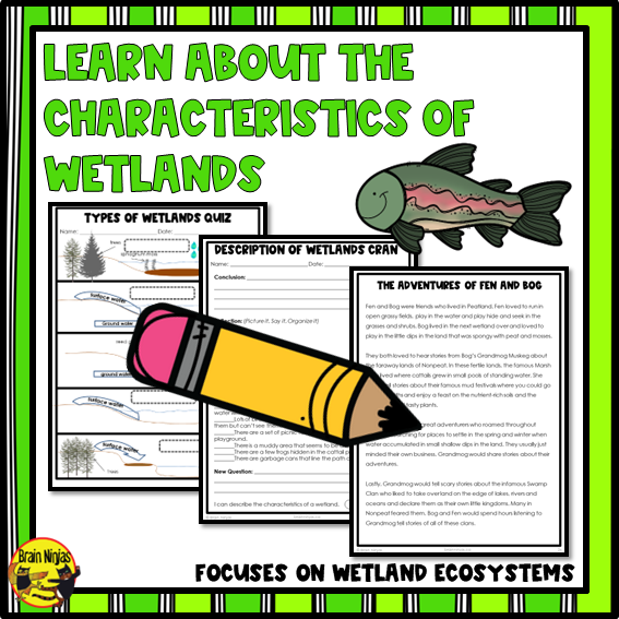 Wetlands Descriptions, Characteristics and Types | Paper and Digital