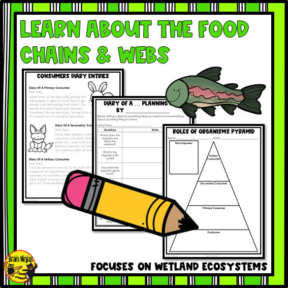 Wetlands Food Chains and Food Webs | Paper and Digital