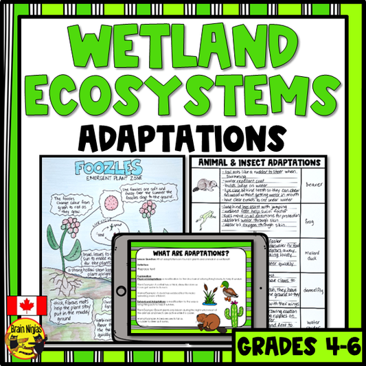 Wetlands Physical and Behavioural Adaptations | Paper and Digital