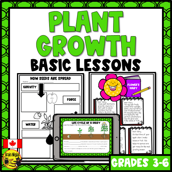 Plant Growth and Changes | Lessons | Paper and Digital – brainninjas