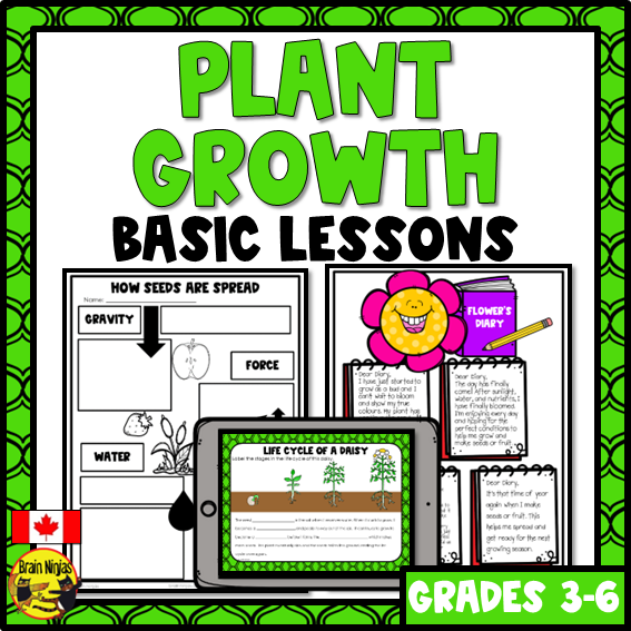 Plant Growth and Changes | Lessons | Paper and Digital