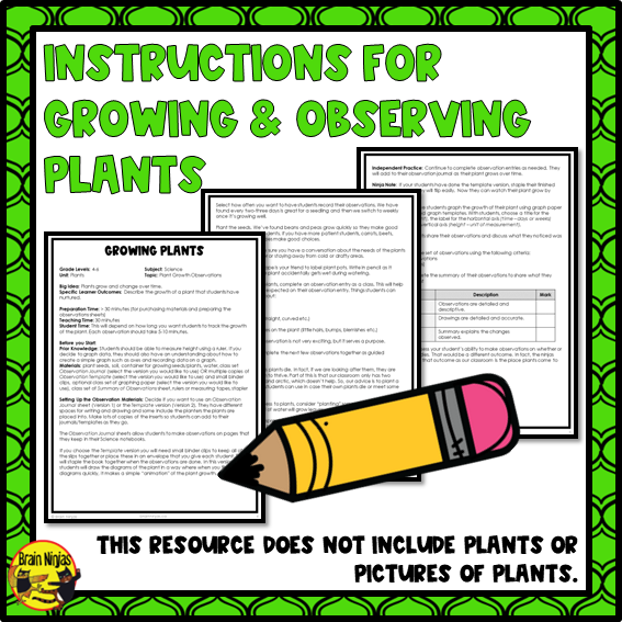 Plant Growth and Changes | Observation Journal | Paper and Digital