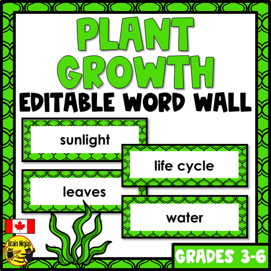 Plant Growth and Changes Vocabulary | Editable Word Wall | Paper