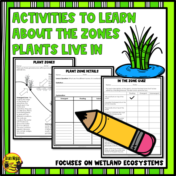 Wetlands Plant and Pond Zones | Paper and Digital