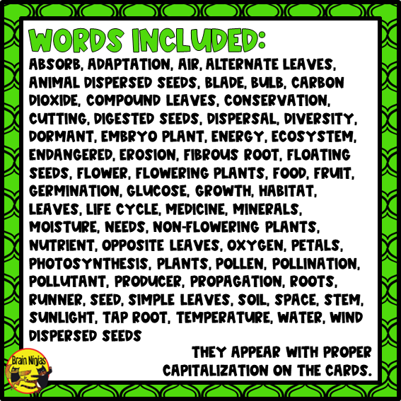 Plant Growth and Changes Vocabulary | Editable Flashcards | Paper