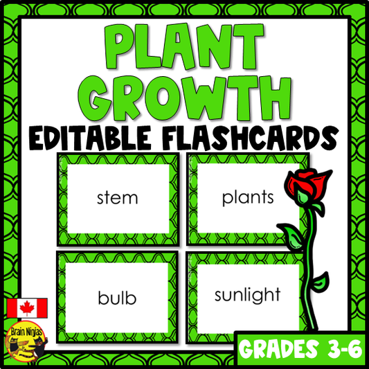 Plant Growth and Changes Vocabulary | Editable Flashcards | Paper