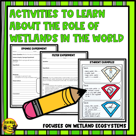Wetlands | Importance and Roles | Paper and Digital