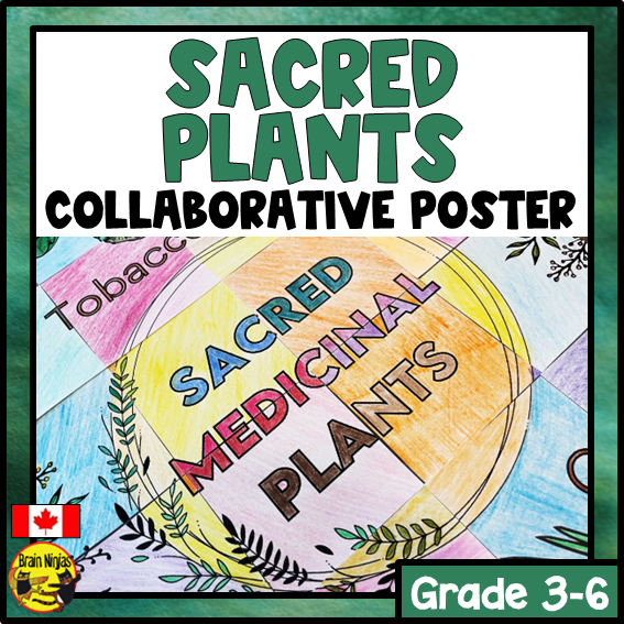Sacred Medicinal Plants Collaborative Poster | Paper
