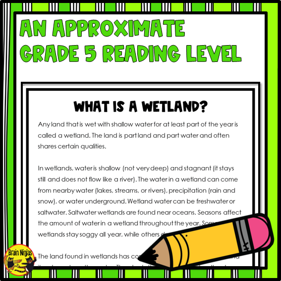 Wetlands Unit | Lessons and Activities Bundle | Paper and Digital
