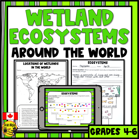 Wetlands Ecosystems Around the World | Paper and Digital