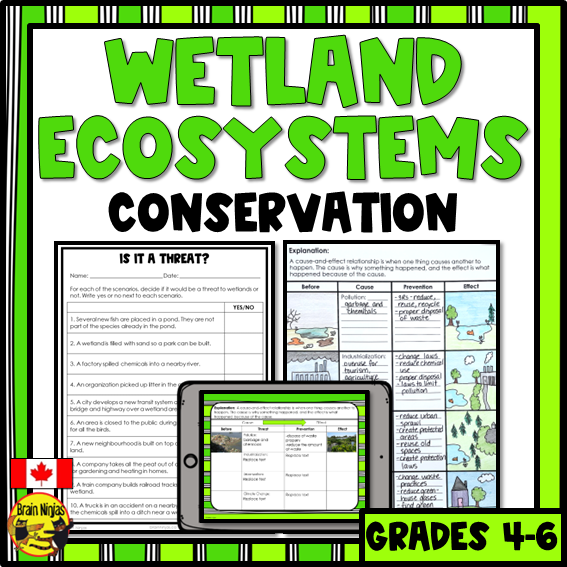Wetlands Threats and Conservation | Paper and Digital