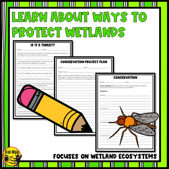 Wetlands Threats and Conservation | Paper and Digital