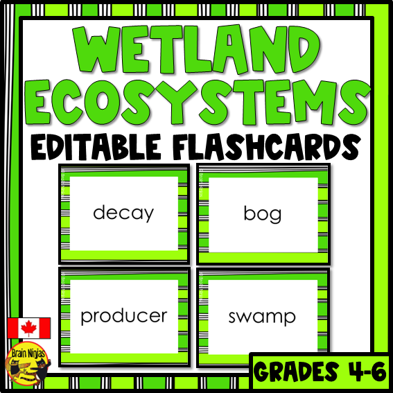 Wetlands Vocabulary | Editable Flashcards | Paper