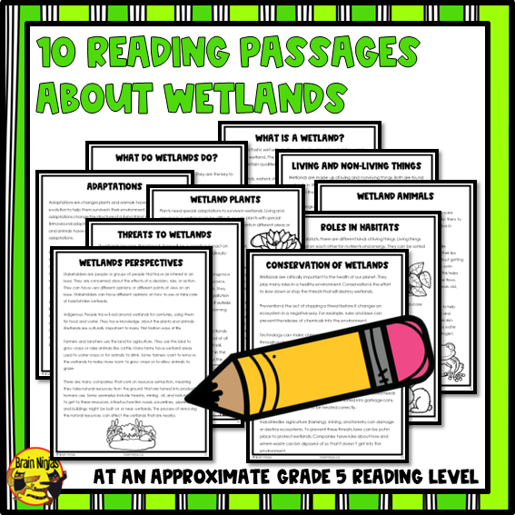 Wetlands Reading Passages | Paper and Digital
