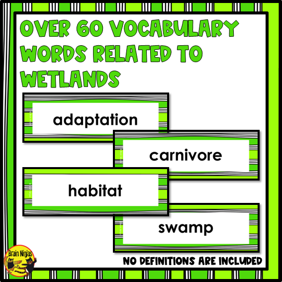 Wetlands Vocabulary | Editable Word Wall | Paper
