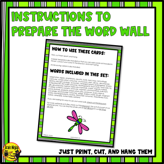 Wetlands Vocabulary | Editable Word Wall | Paper