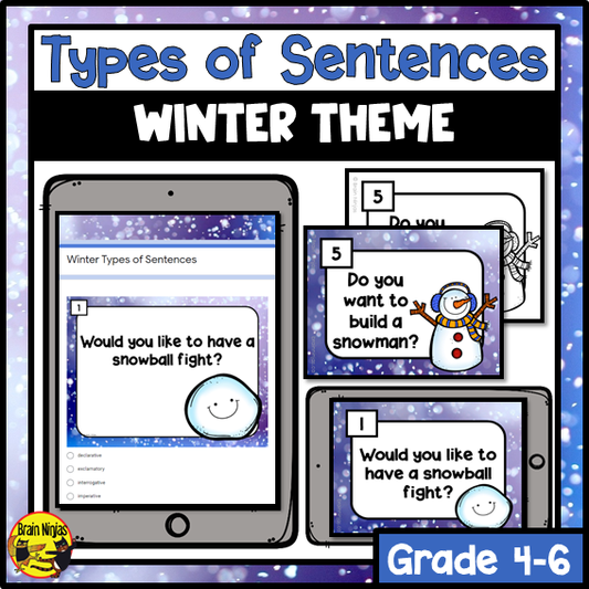Types of Sentences | Winter | Paper and Digital